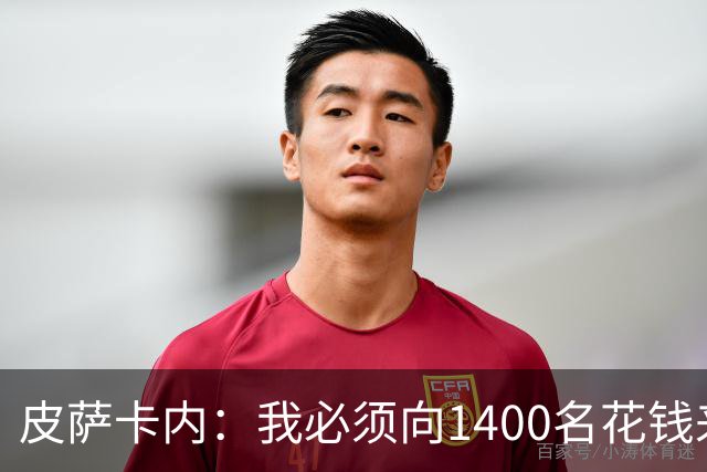 皮萨卡内：我必须向1400名花钱来看这样一场灾难的人道歉